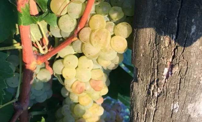 JONZAC, ses Thermes et ses environs, Jonzac, LA MAJOR Conciergerie