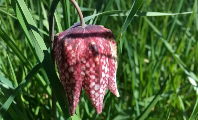 JONZAC, ses Thermes et ses environs, Jonzac, LA MAJOR Conciergerie