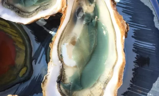 JONZAC, ses Thermes et ses environs, Jonzac, LA MAJOR Conciergerie